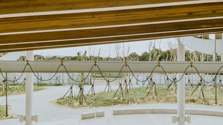 Harbourside Canopy